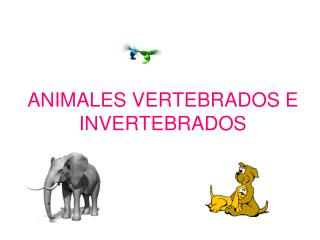 ANIMALES VERTEBRADOS E INVERTEBRADOS