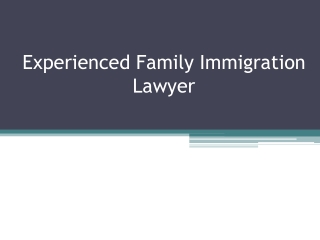 Experienced Family Immigration Lawyer