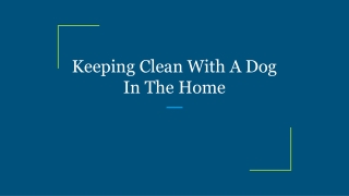 Keeping Clean With A Dog In The Home