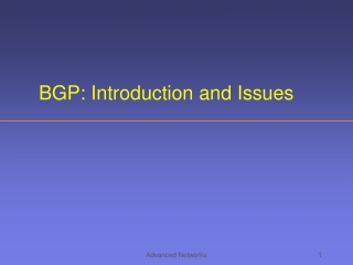 BGP: Introduction and Issues