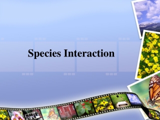 Species Interaction