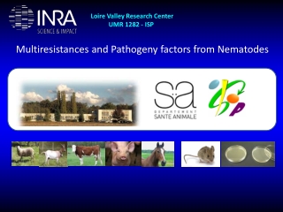 Multiresistances and Pathogeny factors from Nematodes