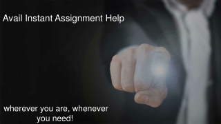Avail Instant Assignment Help