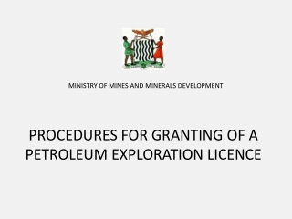 PROCEDURES FOR GRANTING OF A PETROLEUM EXPLORATION LICENCE