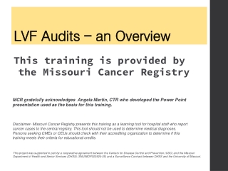 LVF Audits – an Overview