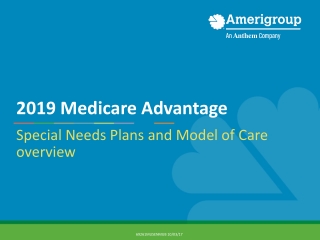 2019 Medicare Advantage