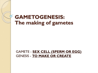 GAMETOGENESIS: The making of gametes