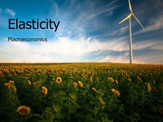 Elasticity