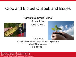 Crop and Biofuel Outlook and Issues