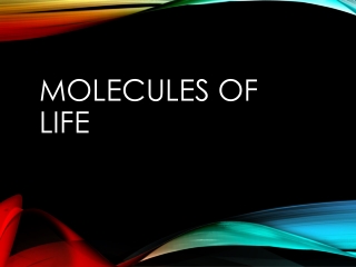 Molecules of Life