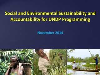 Social and Environmental Sustainability and Accountability for UNDP Programming November 2014