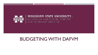 Budgeting with dafvm