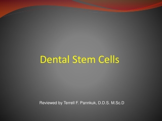 Dental Stem Cells