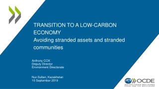Transition to a low-carbon economy Avoiding stranded assets and stranded communities