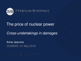 The price of nuclear power Cross-undertakings in damages
