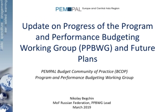 Update on Progress of the Program and Performance Budgeting Working Group (PPBWG) and Future Plans