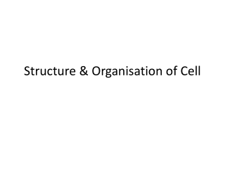 Structure &amp; Organisation of Cell