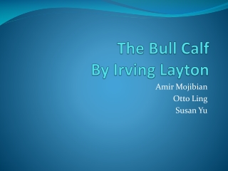 The Bull Calf By Irving Layton