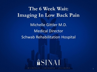 The 6 Week Wait: Imaging In Low Back Pain