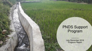 PNDS Support Program