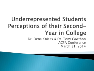 Underrepresented Students Perceptions of their Second-Year in College