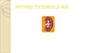 NITMED TUTORIALS INC