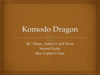 Komodo D ragon