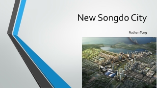 New Songdo City