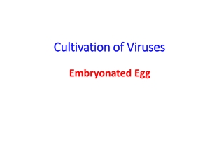 Cultivation of Viruses