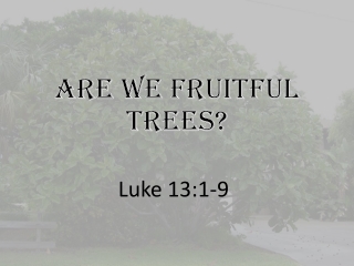 Are we fruitful trees?