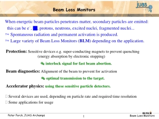 Beam Loss Monitors