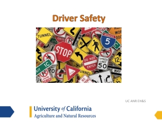 Driver Safety