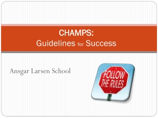 CHAMPS: Guideline s for Success