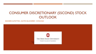 Consumer Discretionary (S5cond) sTOCk outlook