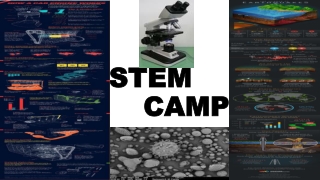 STEM 			CAMP