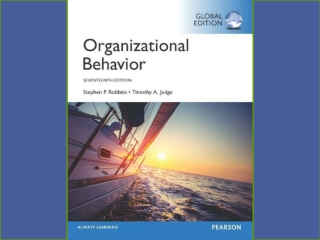 What Is Organizational Behavior?