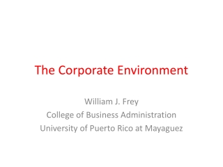 The Corporate Environment