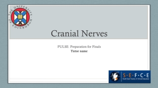 Cranial Nerves