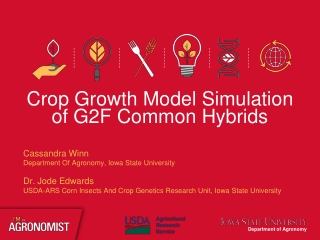 Crop Growth Model Simulation of G2F Common Hybrids
