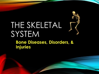 The Skeletal System