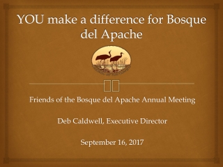 YOU make a difference for Bosque del Apache