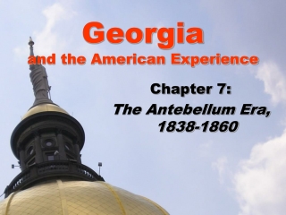 Georgia and the American Experience