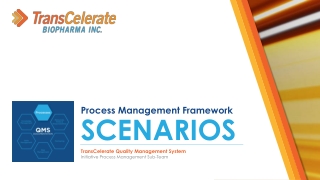 Process Management Framework SCENARIOS