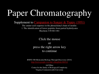 Paper Chromatography