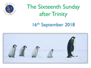 The Sixteenth Sunday after Trinity