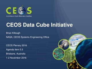 CEOS Data Cube Initiative