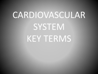 CARDIOVASCULAR SYSTEM KEY TERMS