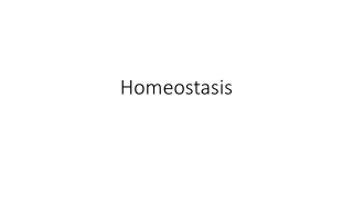 Homeostasis