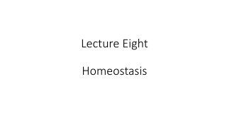 Lecture Eight Homeostasis