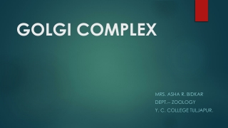 GOLGI COMPLEX